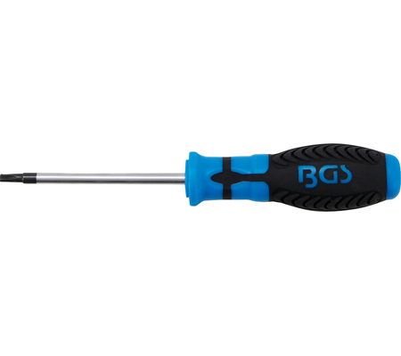 Csavarhúzó | T-profil (Torx) T20 furattal | Pengehossz 80 mm