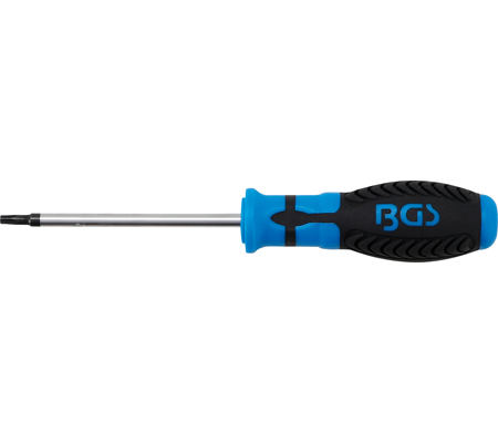 Csavarhúzó | T-profil (Torx) T25 furattal | Pengehossz 100 mm - Image 2