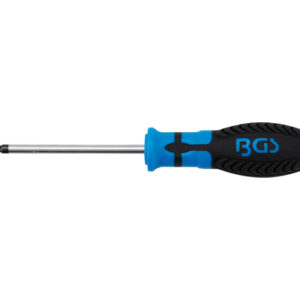 Csavarhúzó | T-profil (Torx) T25 furattal | Pengehossz 100 mm